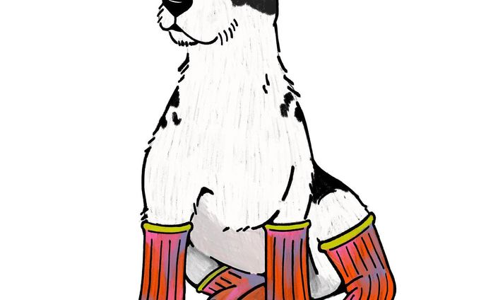 🐩🧦💥

#instaart #illustration #art#instagood#illustrations #design#colorful #dog#犬#いぬイラスト #イラストレーション #イラスト#カラフル#いらすとぐらむ #いらすと