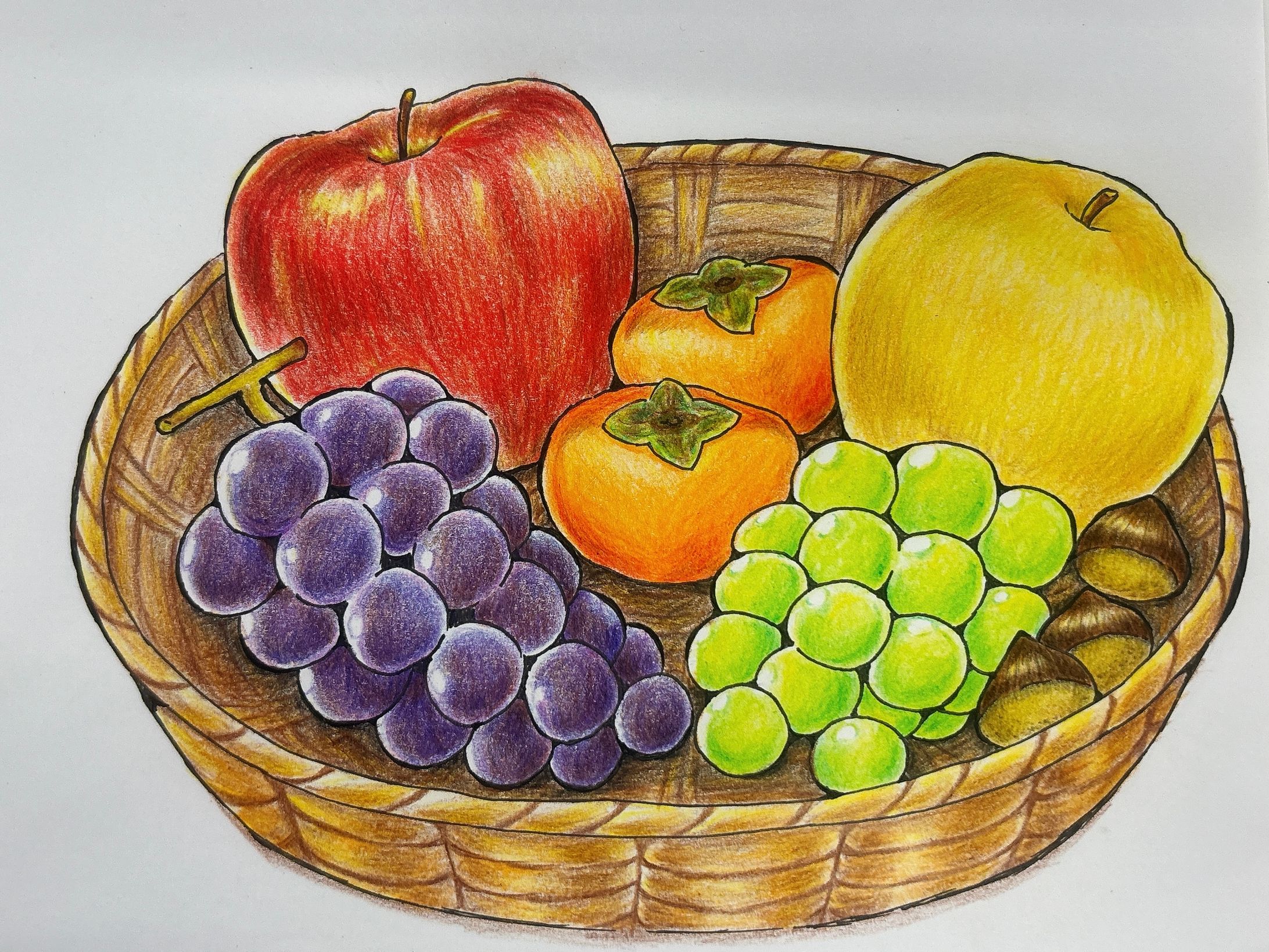 企業DM表紙イラスト-1