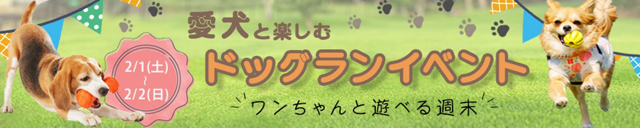 【バナー】ドッグランイベント-1