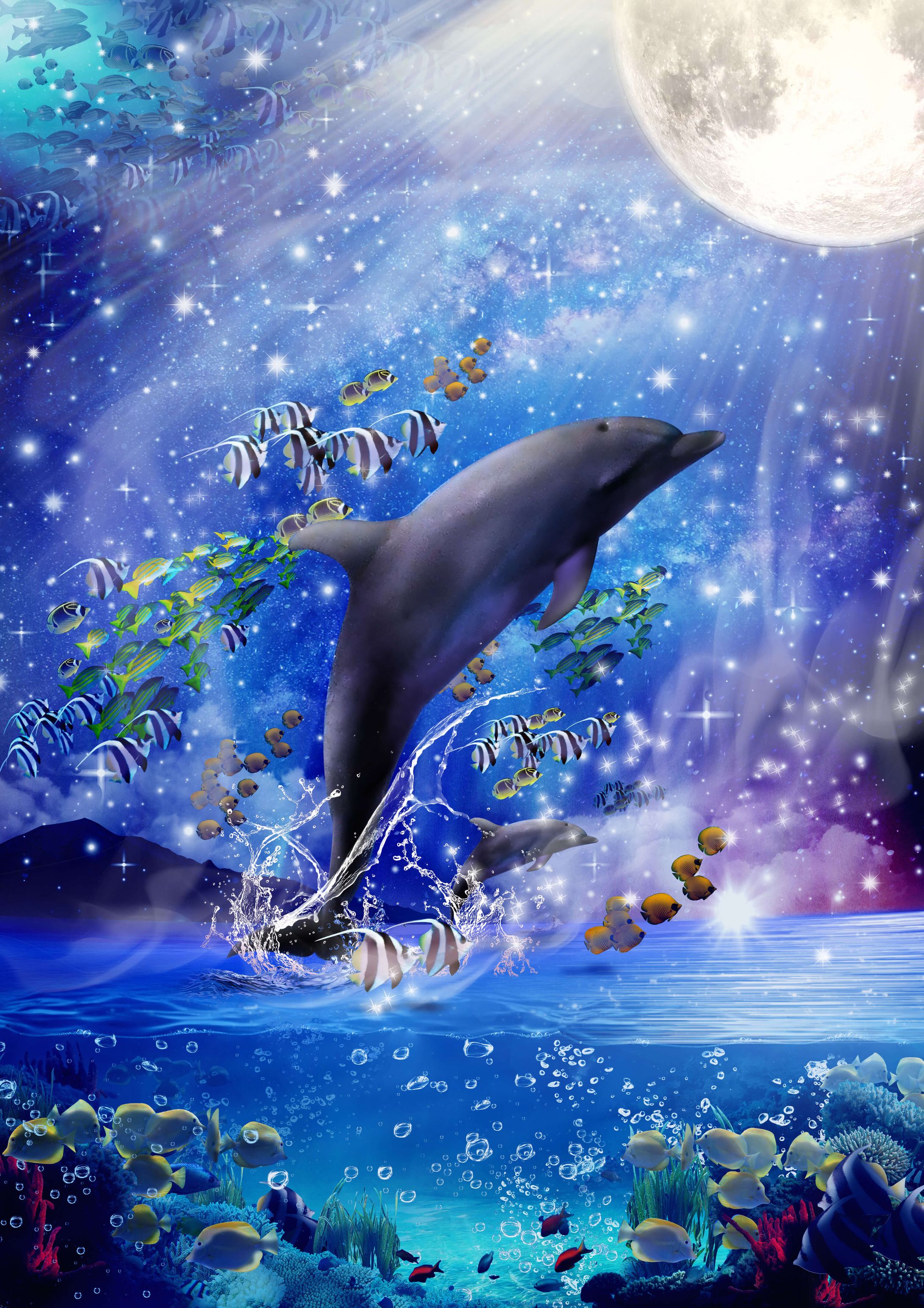 空を飛ぶイルカ-1