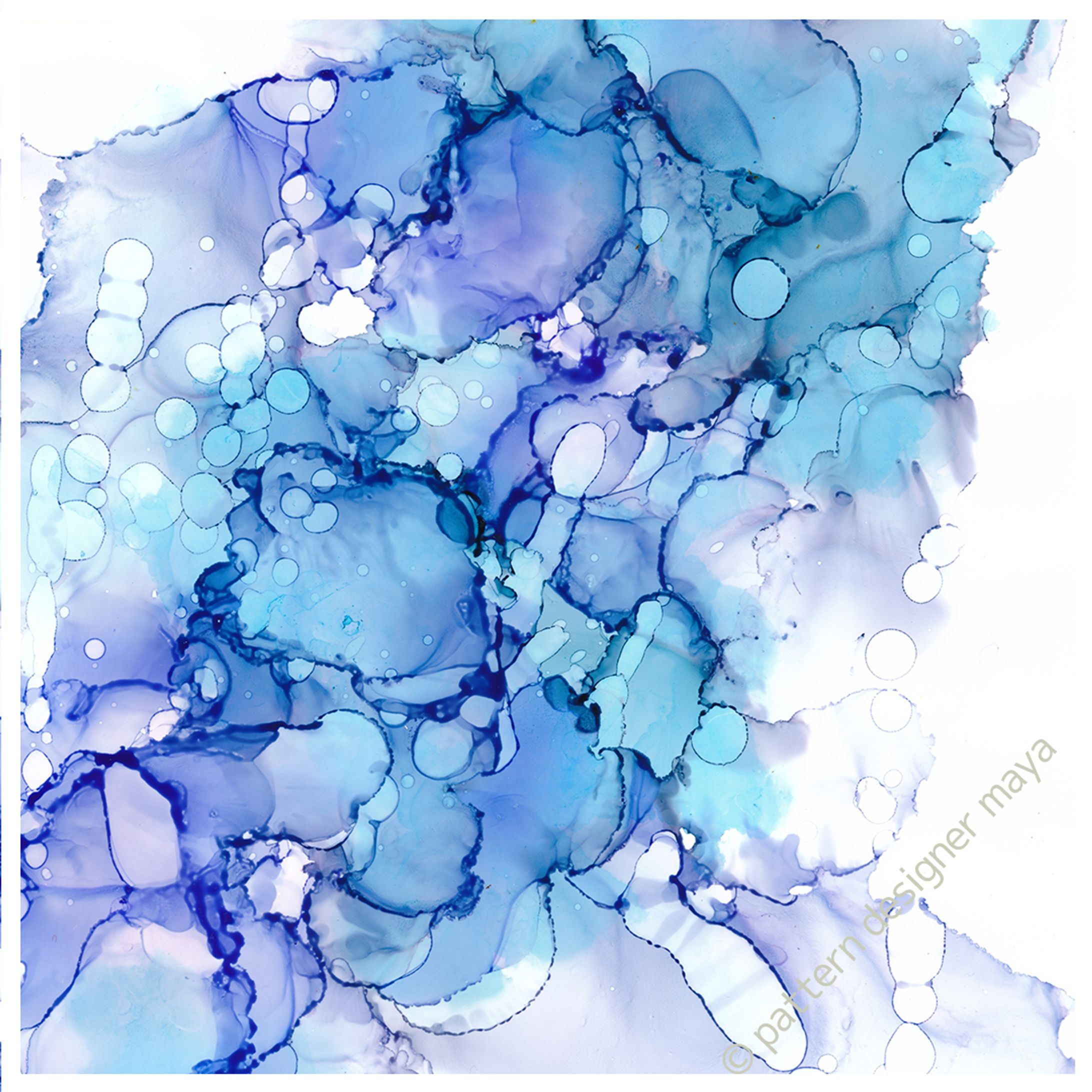 sea-1
