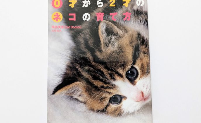 高橋書店様「0才から2才のネコの育て方」