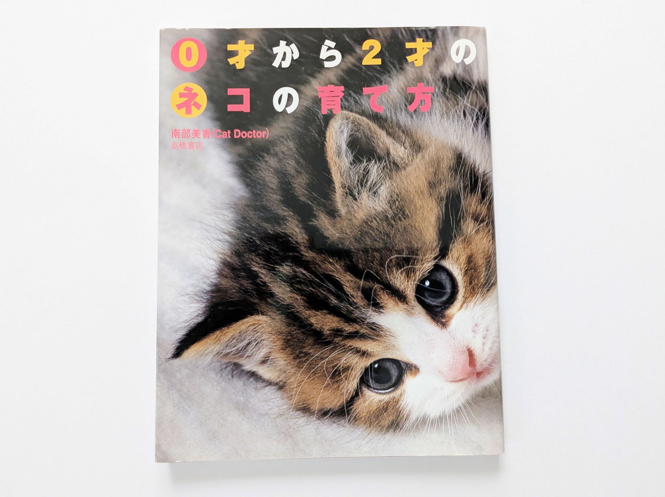 高橋書店様「0才から2才のネコの育て方」-1