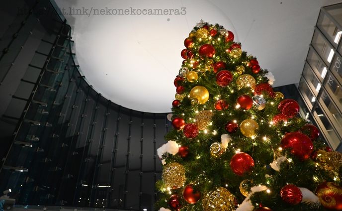 日常のクリスマス