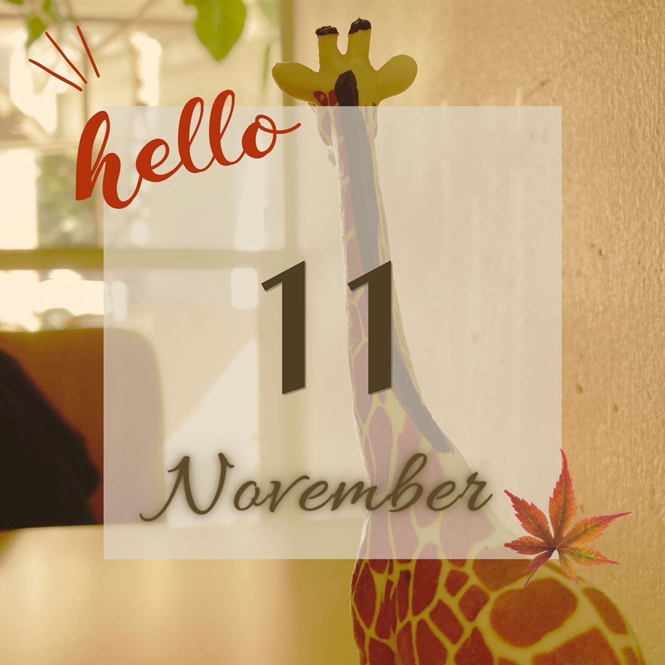 🌰🐿🍁🍂🤎
・
▶▶▶11月November 𝚂𝚃𝙰𝚁𝚃𓂃𓈒𓏸

早いもので、もう今日から11月!!
1日は、もちろん1年過ぎるのが、年々早く
感じてホントに"時は金なり"だなと改めて
実感しております😖´-

今月は、というか年内までにという目標に向けて
動いていこうと思っています𖡼.𖤣𖥧𖡼.𖤣𖥧

まずは、、、健康第一で…‪‪.ᐟ.ᐟ( ◡̈)ง
子ども達が体調不良になると必ずといって
私自身も、体調不良になってしまうのを
なんとかしたい、、、！笑(切実に…ꉂ🤣w‪𐤔)

あとは、きちんとポートフォリオを作成しまとめる！
就職やら、お仕事に向けて始動していかねば！𖤐⡱

‥など

今月も、マイペースにはなってしまうかもですが
頑張っていきますので、どうぞよろしくお願い
致します〜( ˊᵕˋ )♡𓇬𓂂𓈒

＼@hifuyu_style.design ／

 #11月  #November #webデザイナー勉強中 
 #ママwebデザイナー  #ママデザイナー
 #Canva  #canvaデザイン  #キャンバ
 #バナー制作  #投稿画像  #ママデザイナー
 #男の子ママ-1