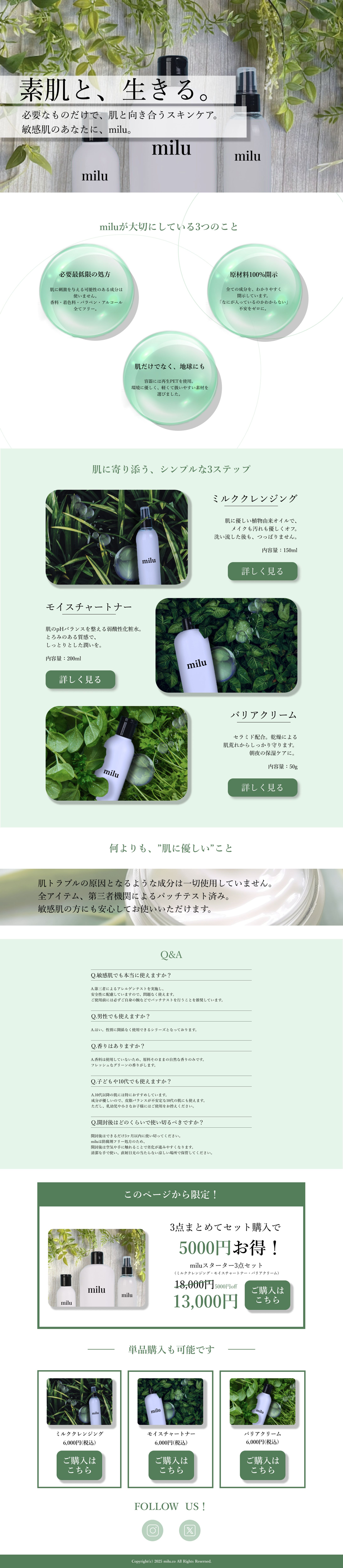 仮想化粧品会社のLP-1