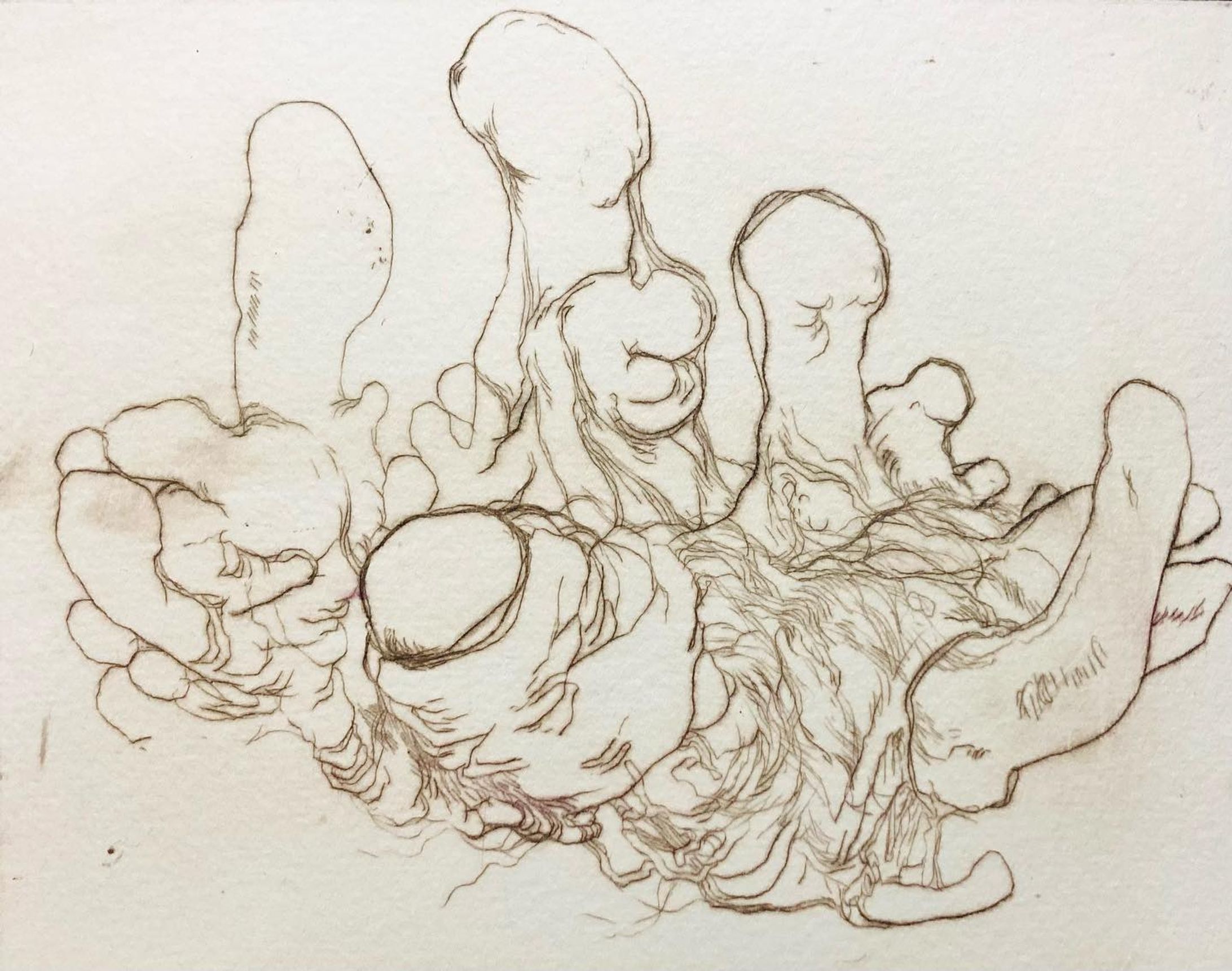 #ドローイング
#ドライポイント
#drawing
#drypoint
#版画
#artworks

少し前にカダケスの図録が届きました
イタリア、フランス、スペインを旅した作品も帰ってきまして、冬虫夏草の作品と蛾の作品を購入してくださった方がいました。励みになります。さらに良い絵が描けるように精進します-1