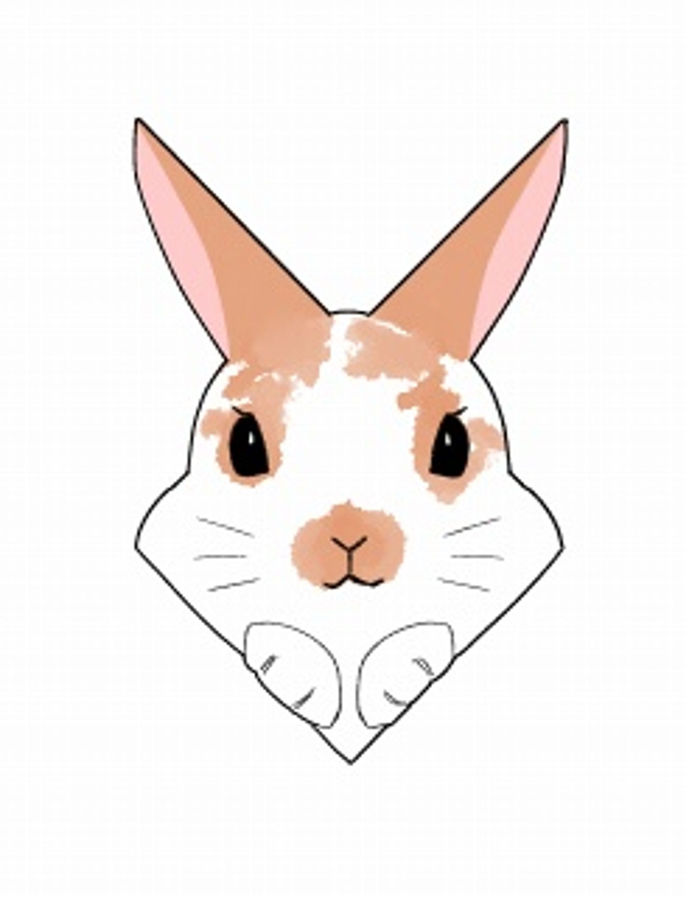 ぴょこっとうさぎさん-1