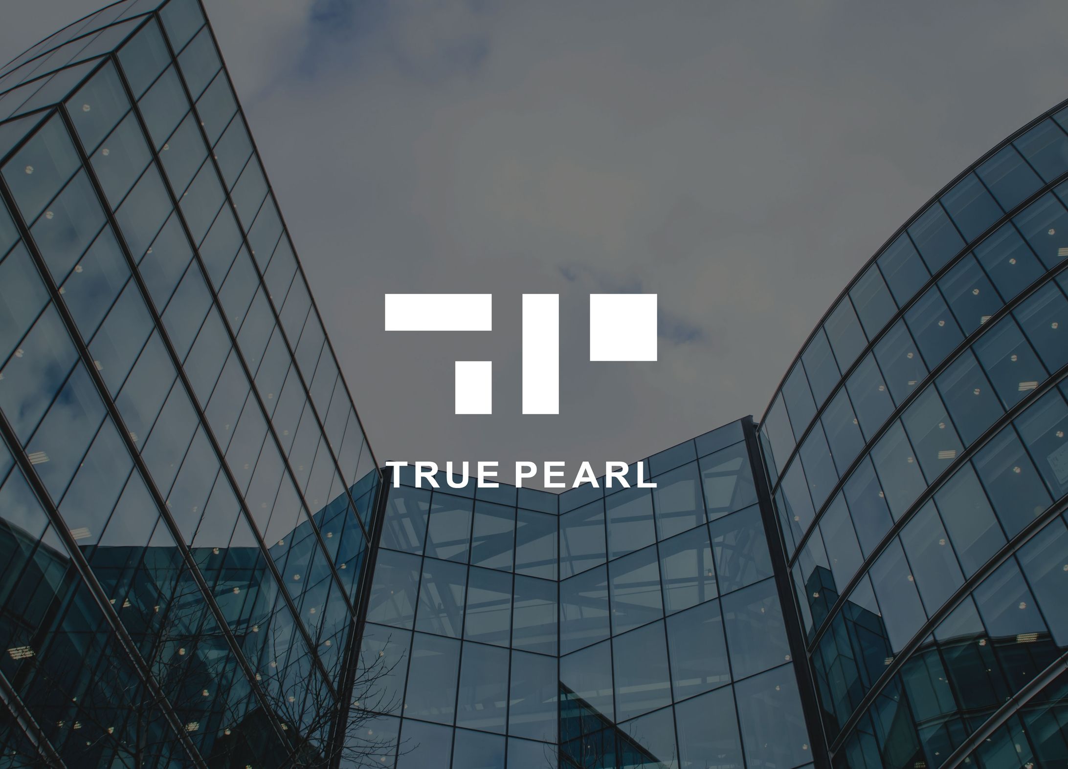 株式会社TRUE PEAL様：ロゴ制作-1