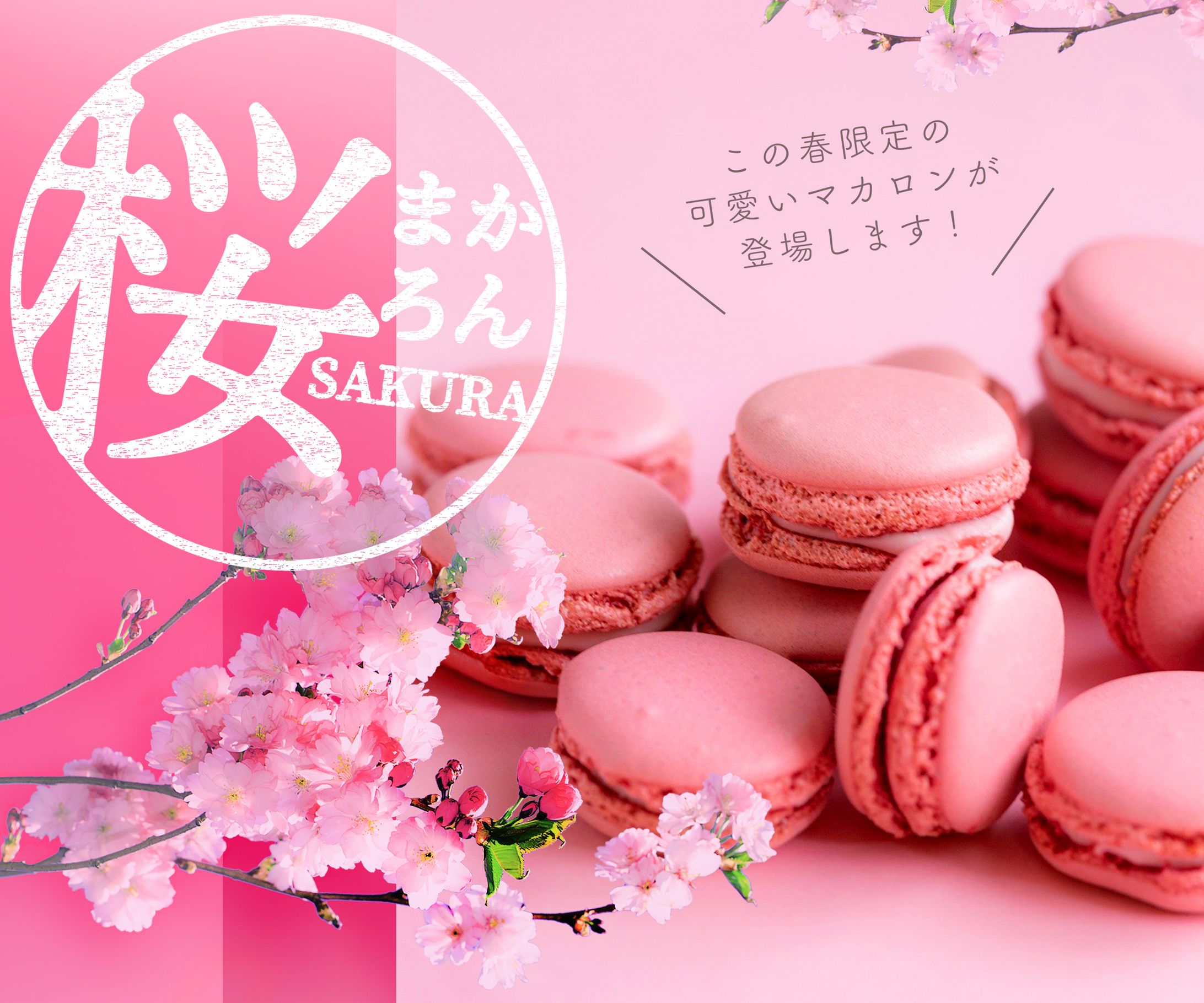 桜まかろん-1