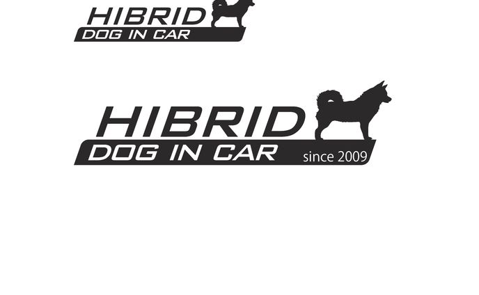 hibriddogincar