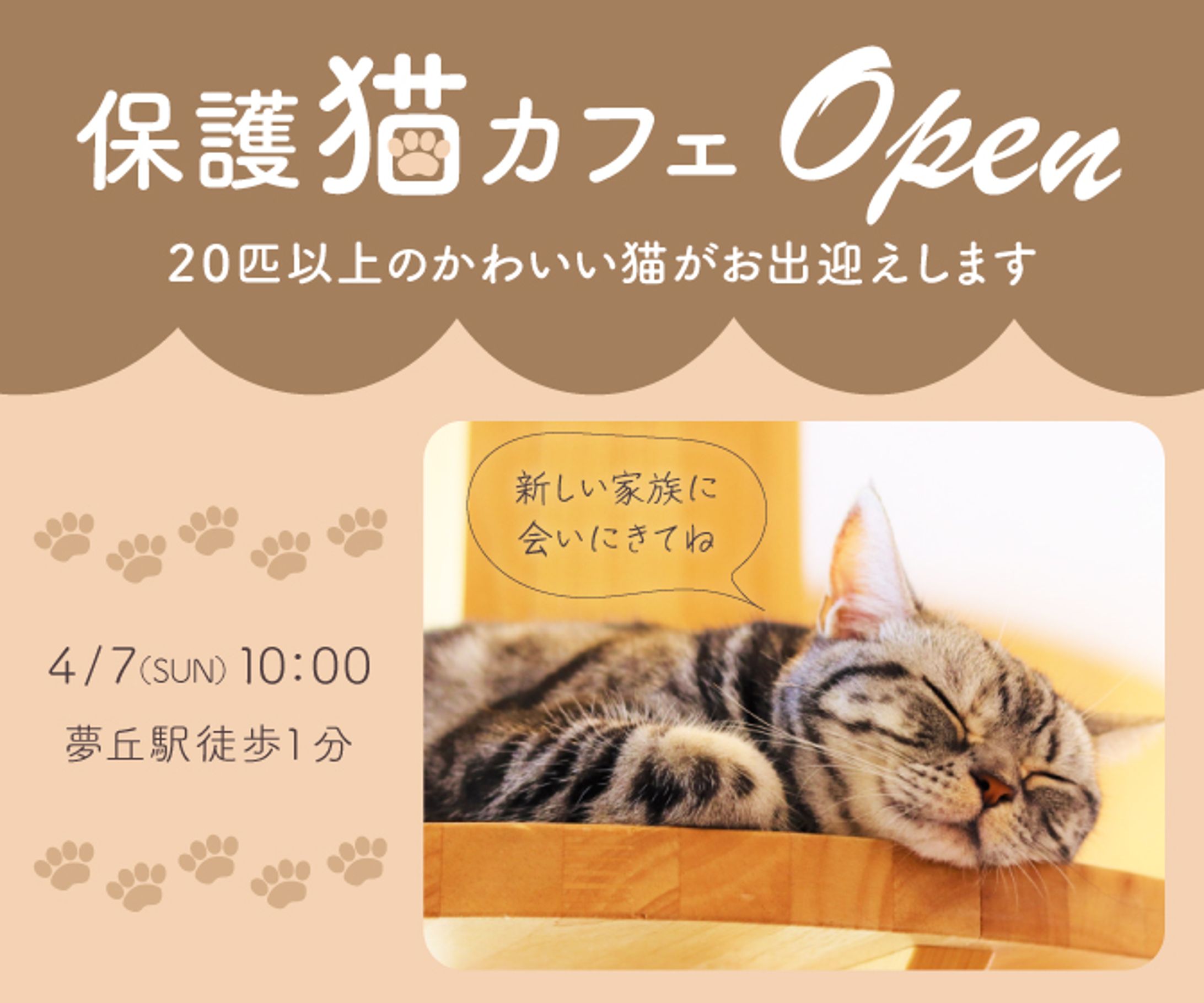 保護猫カフェ新規オープンバナー-1