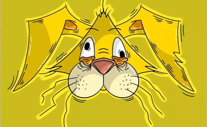 うさぎちゃん