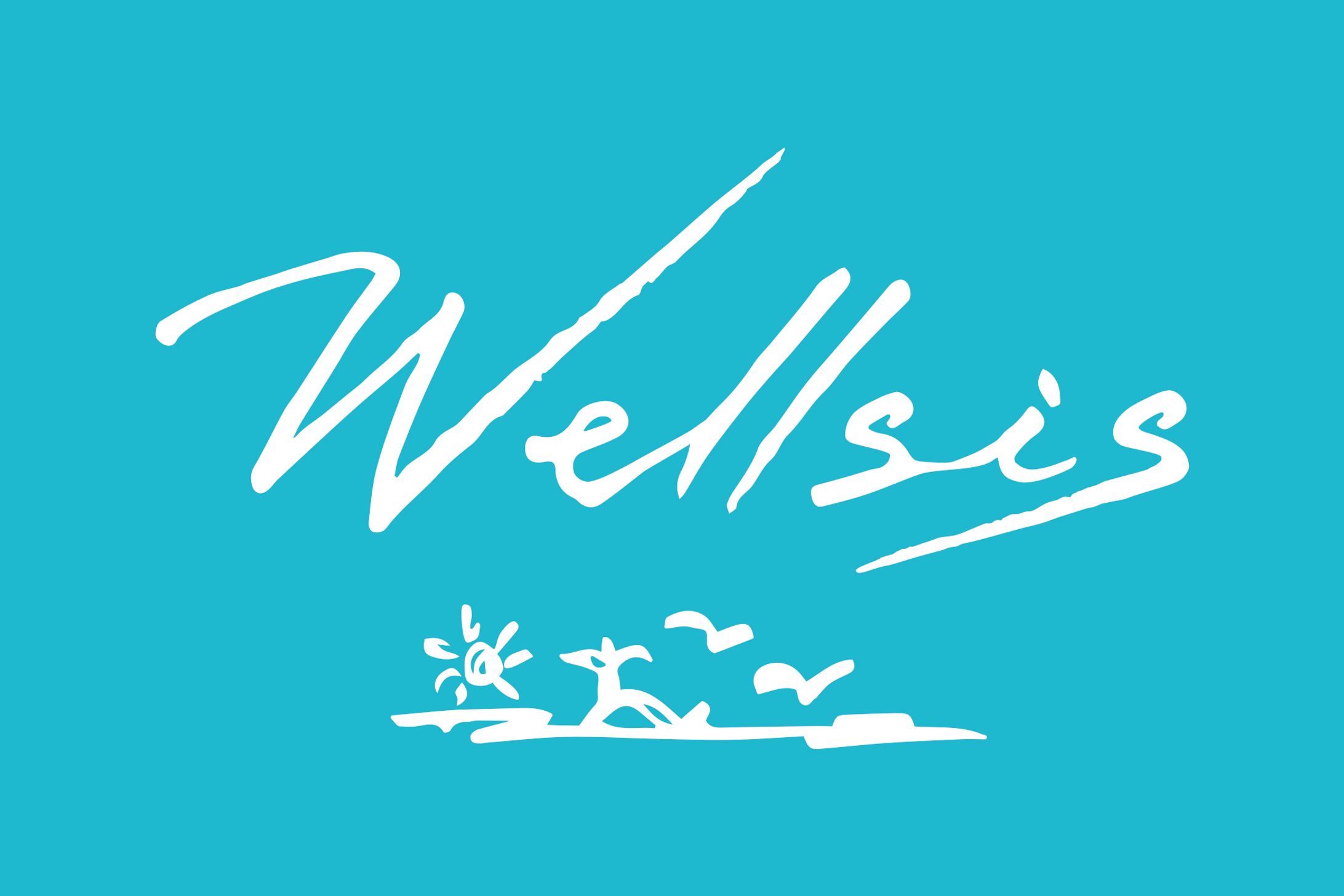 Wellsis logo-1