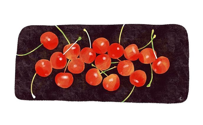 フルーツ好きだけど高くて買えない😭
これはいただいた佐藤錦🍒
勿体ないので絵にするよ。んまかった〜

#illustration 
#cherry 
#fluit 
#イラスト
#フルーツ
#さくらんぼ
#佐藤錦
#ツヤツヤ
#美味しい
#くだもの