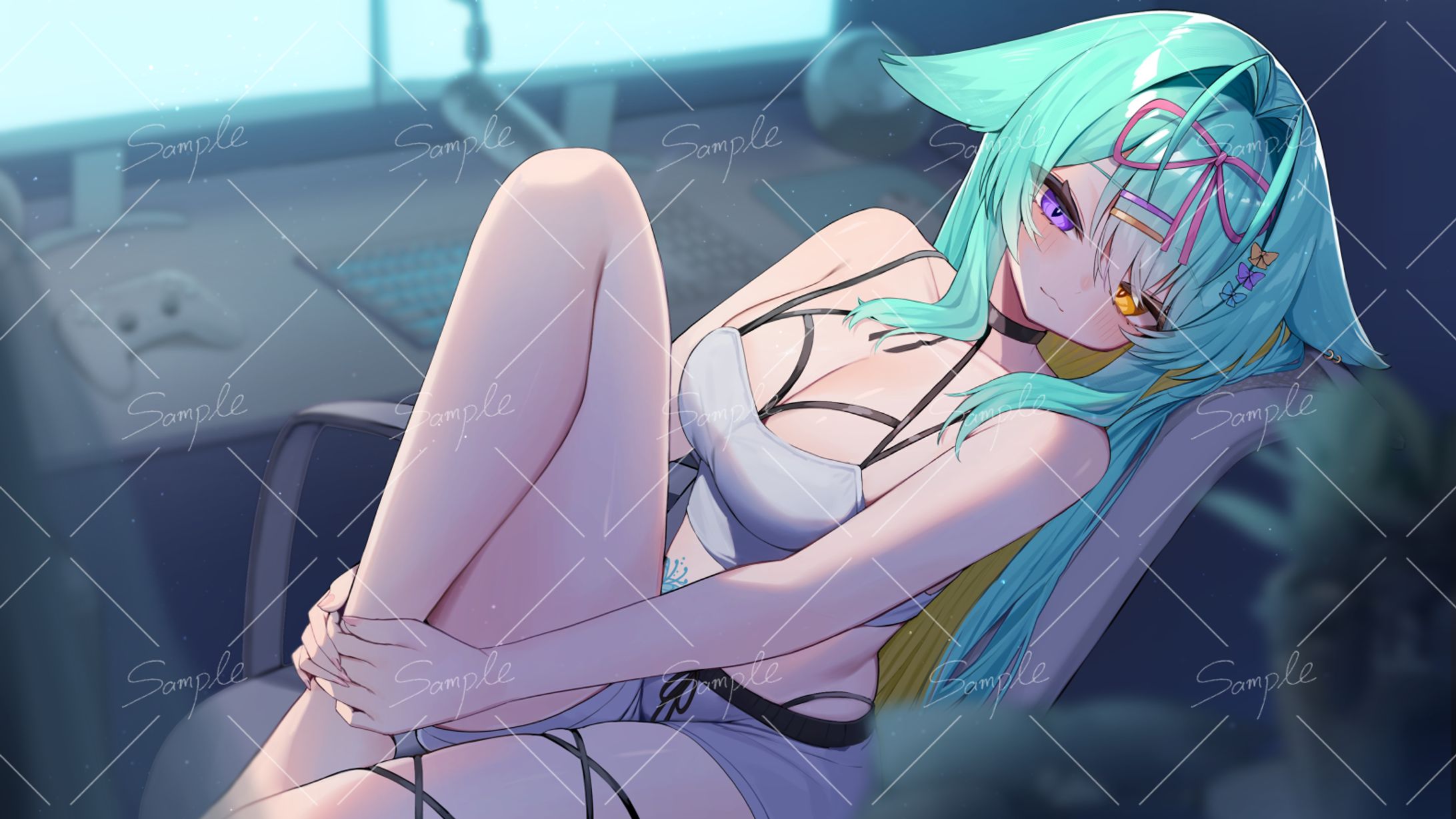 Felis様　お誕生日記念イラスト-1