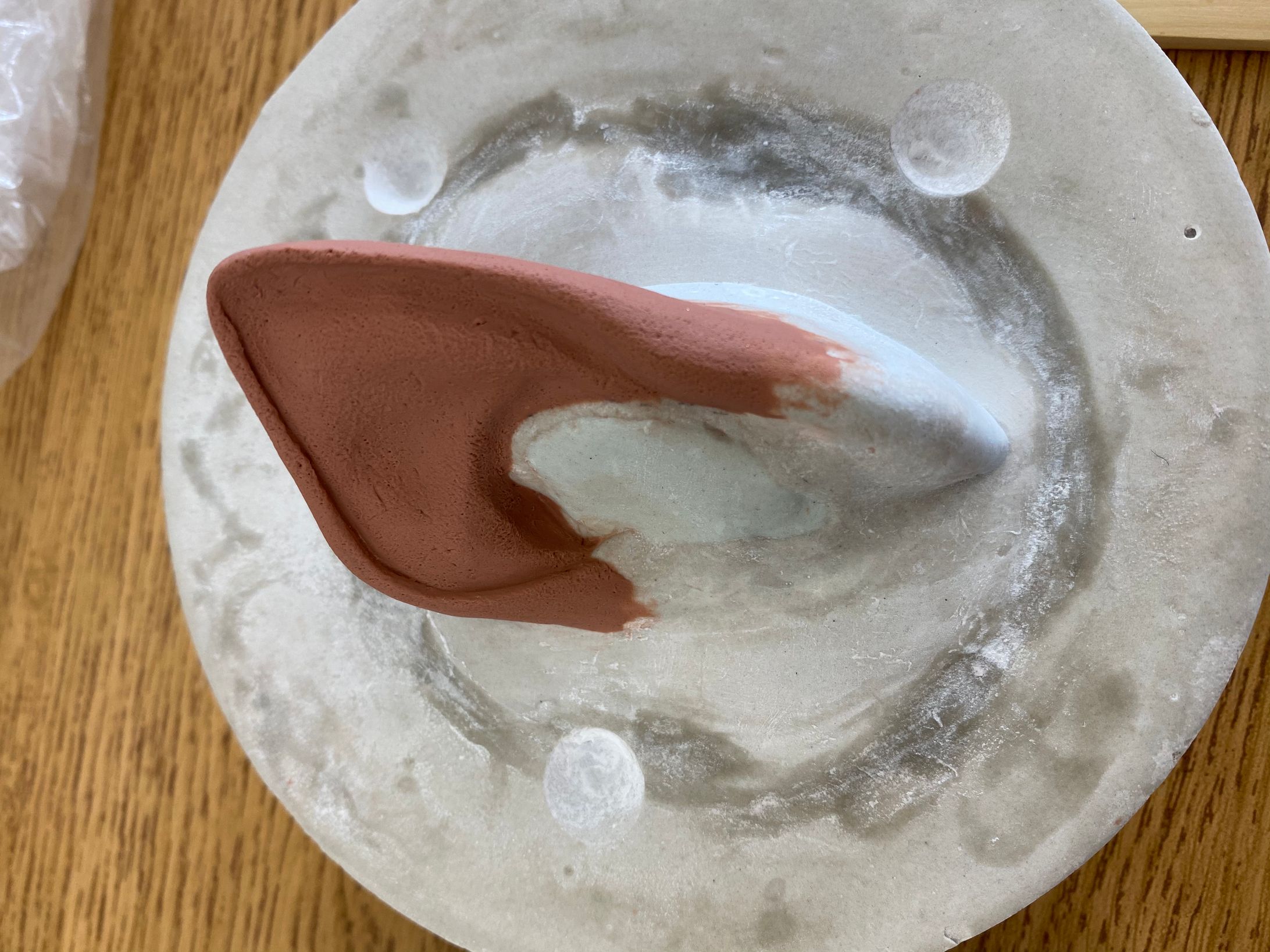 Ear sculpting -1