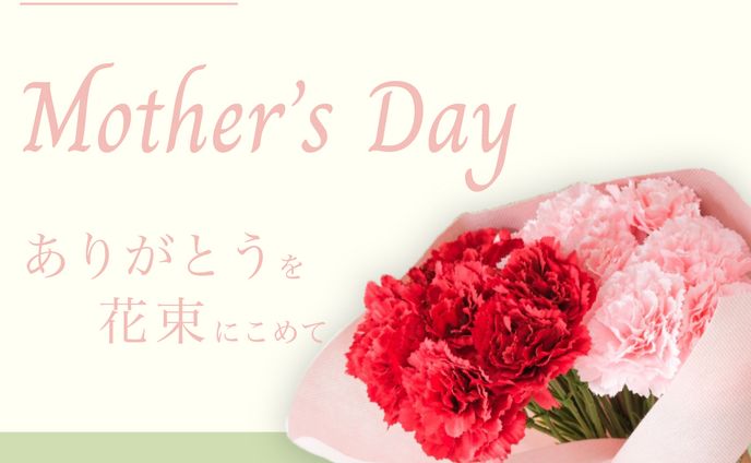 バナー、other movie