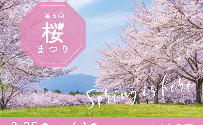 【自主制作】桜まつりポスター（Photoshop）
