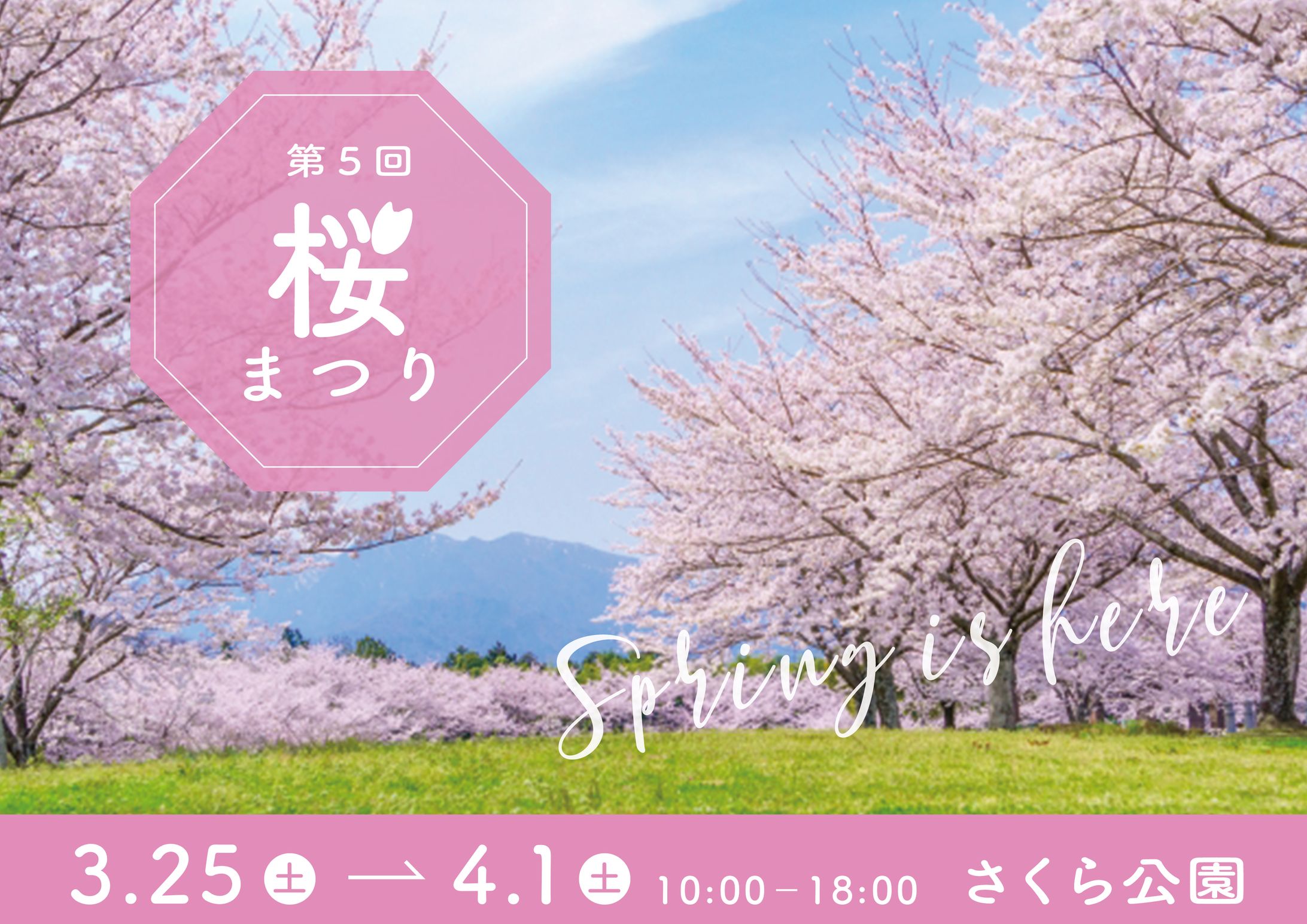 【自主制作】桜まつりポスター（Photoshop）-1