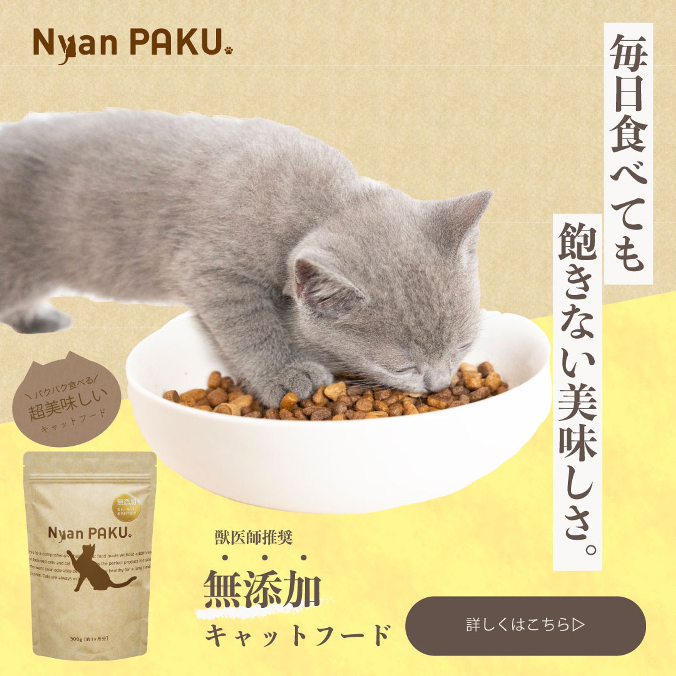 キャットフードの訴求違いInstagram用バナー-1