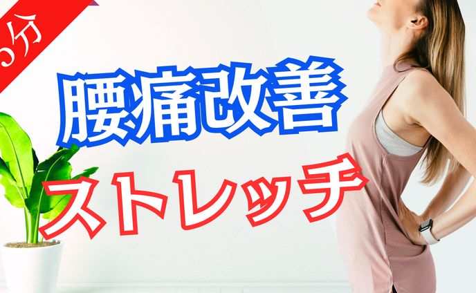 健康・美容（ストレッチ）