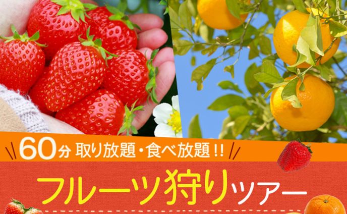 バナー　フルーツ狩り