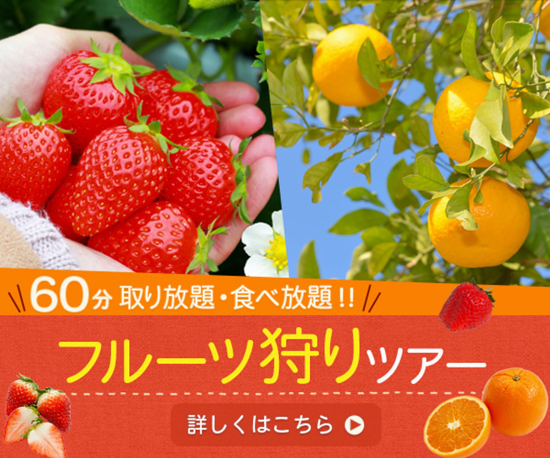 バナー　フルーツ狩り-1