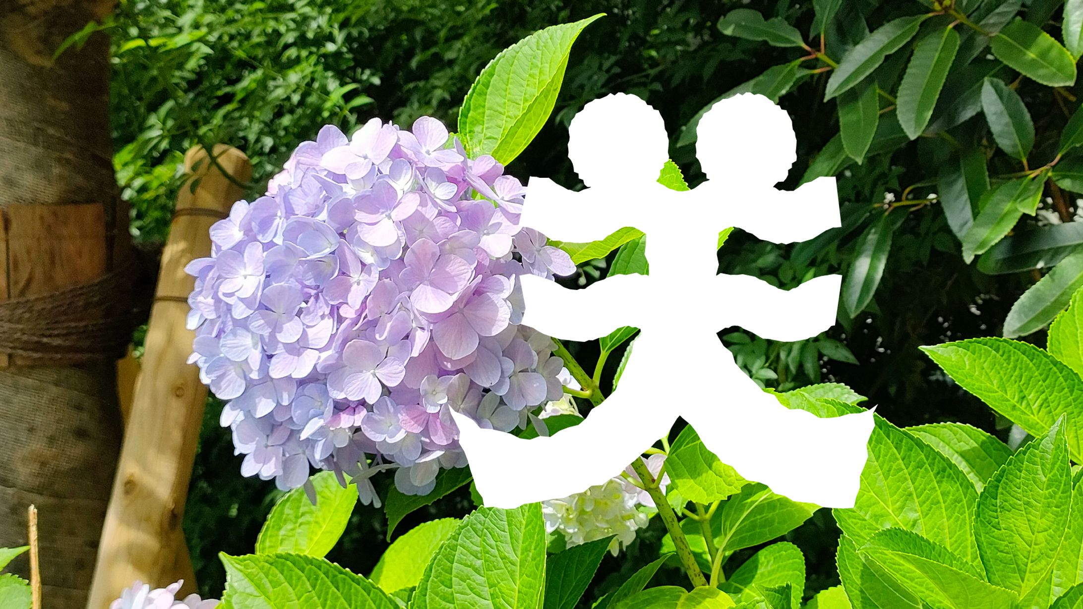 まちもじ散歩 「咲」「管」「柵」「像」20250618-1