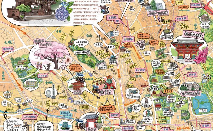 文京区 地図イラスト