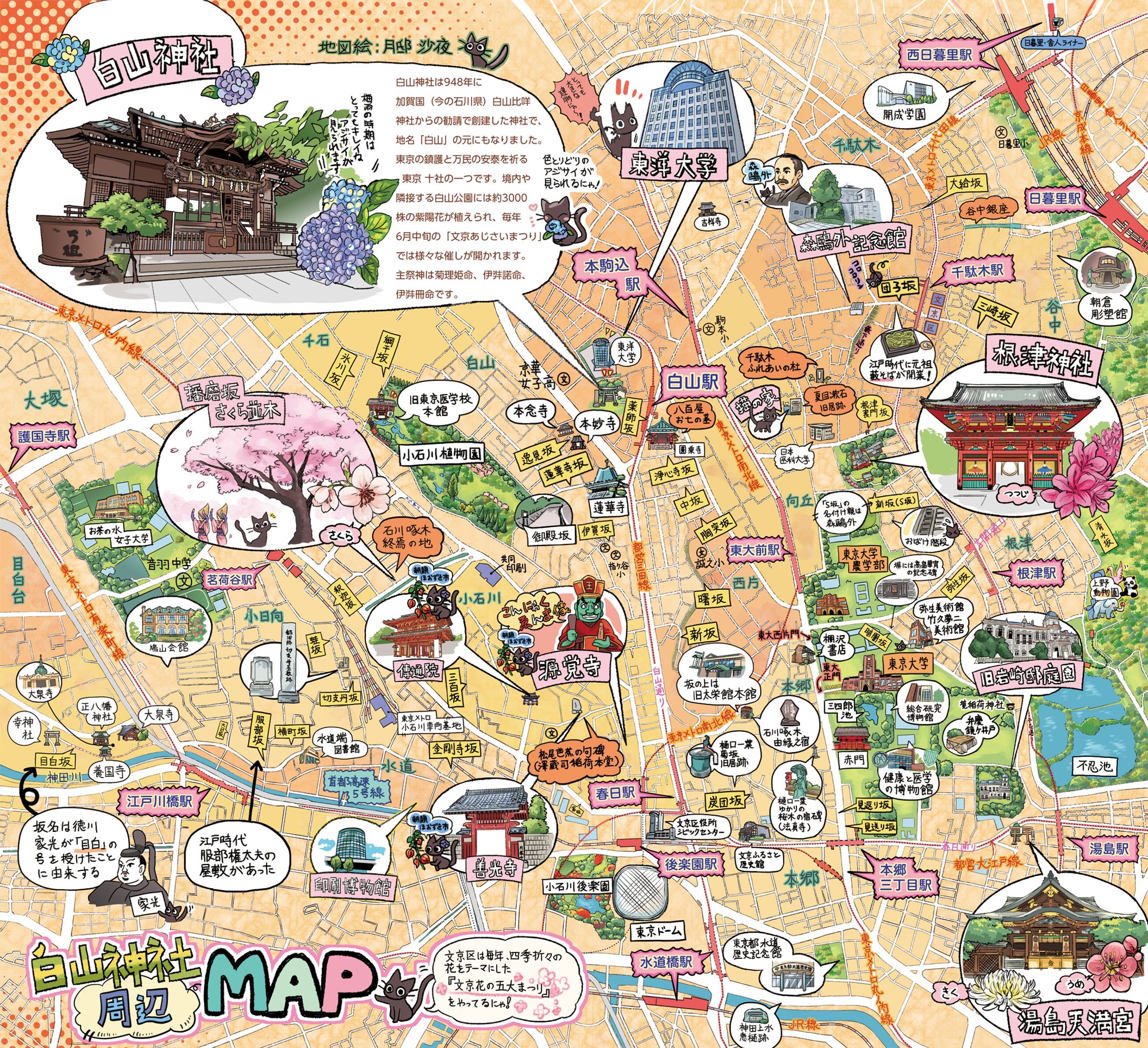 文京区 地図イラスト-1