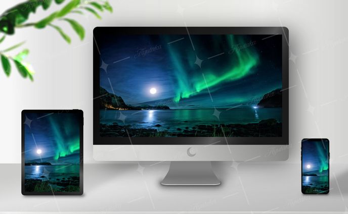 提案用モニタ各種（PC/Tablet/Phone）