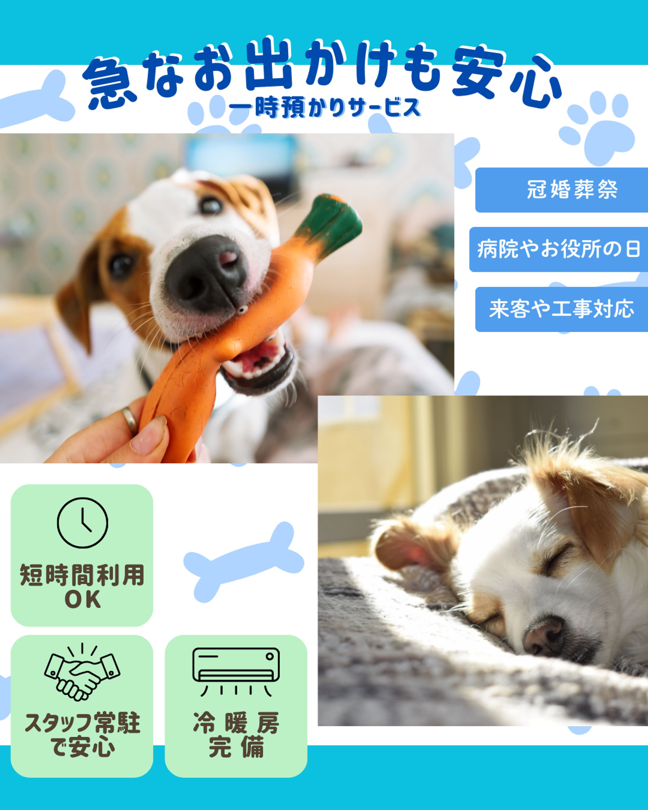 ペットサロン｜預かりサービス-1