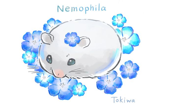 自主制作、ハムスター