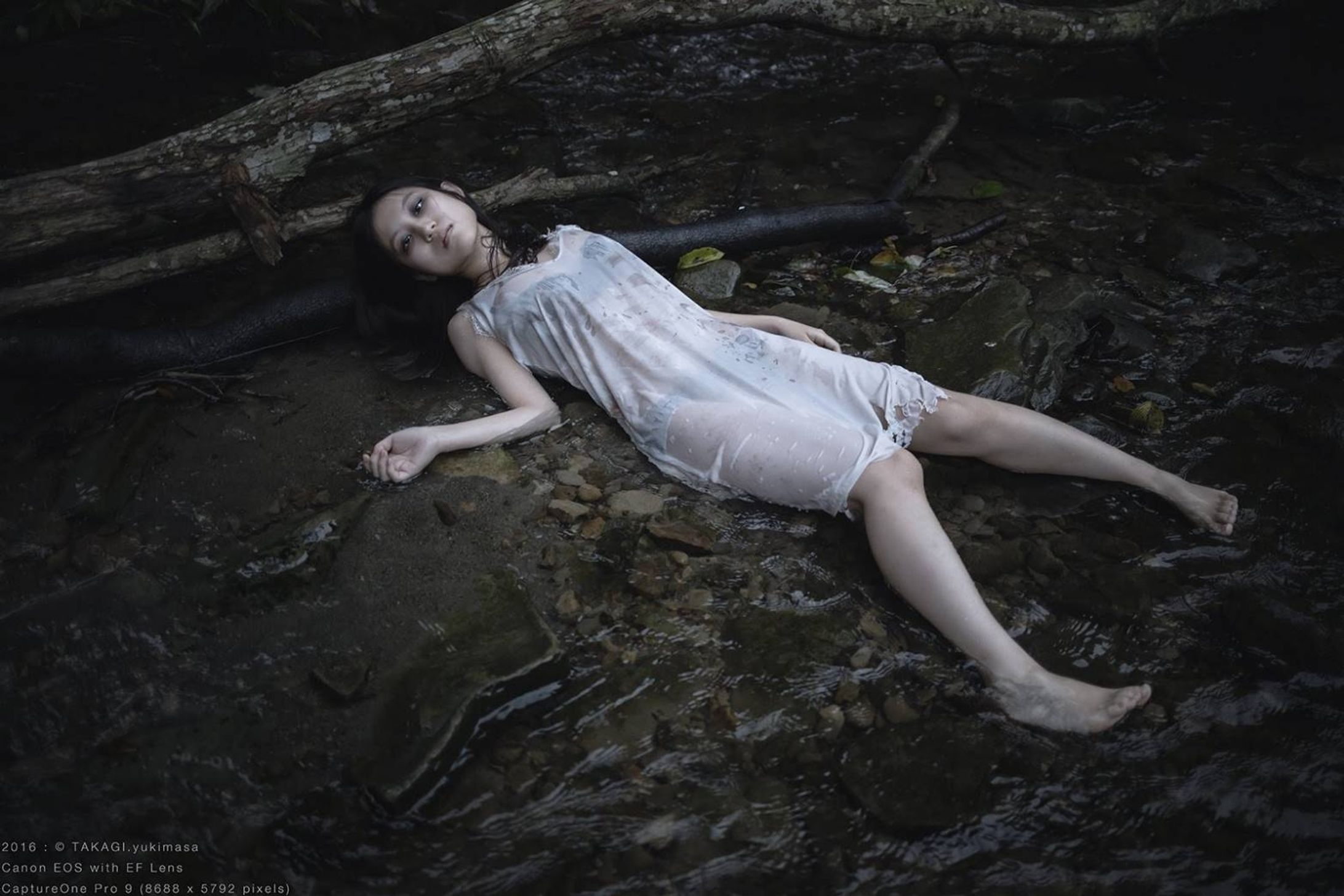 #紫闇写真 (2016)-1