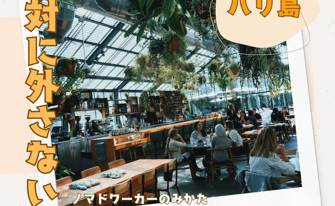 SNS運用：フィード投稿