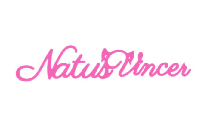 NatuVincenさん 配信画面