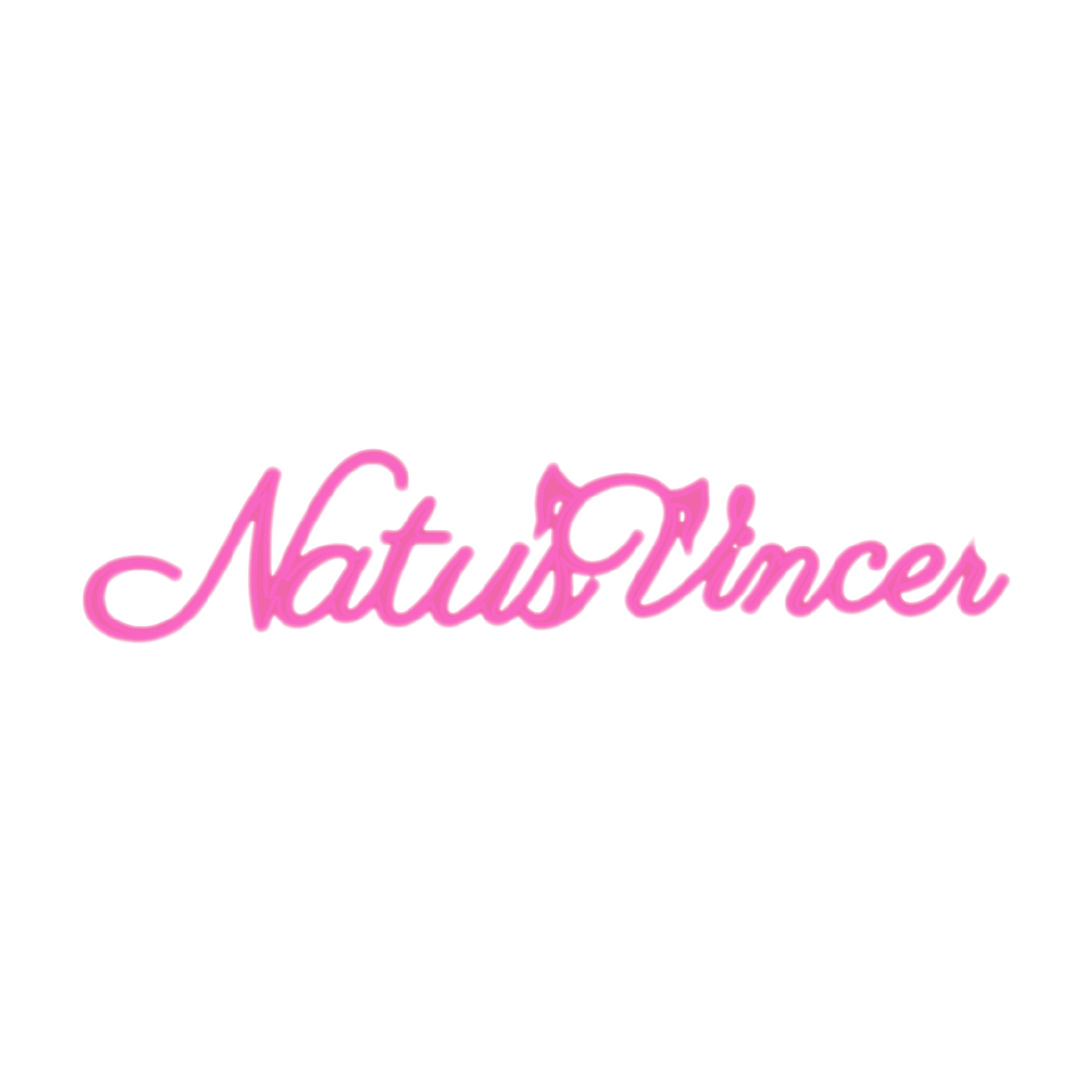 NatuVincenさん 配信画面-1