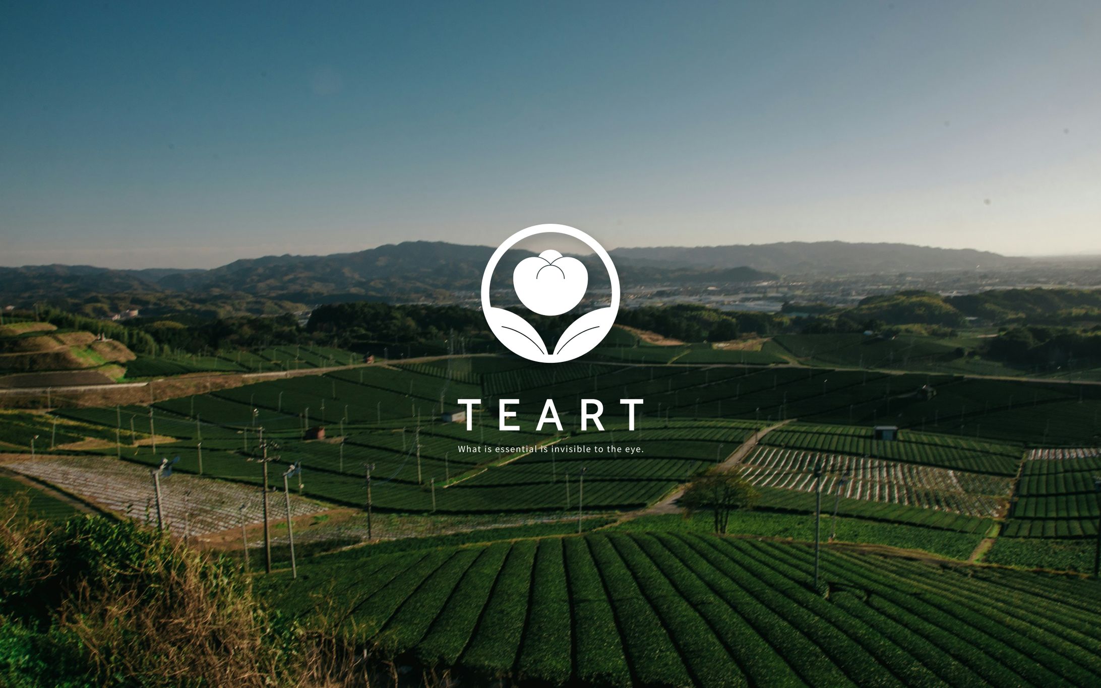 【ロゴ制作】日本茶ブランドTEART-1