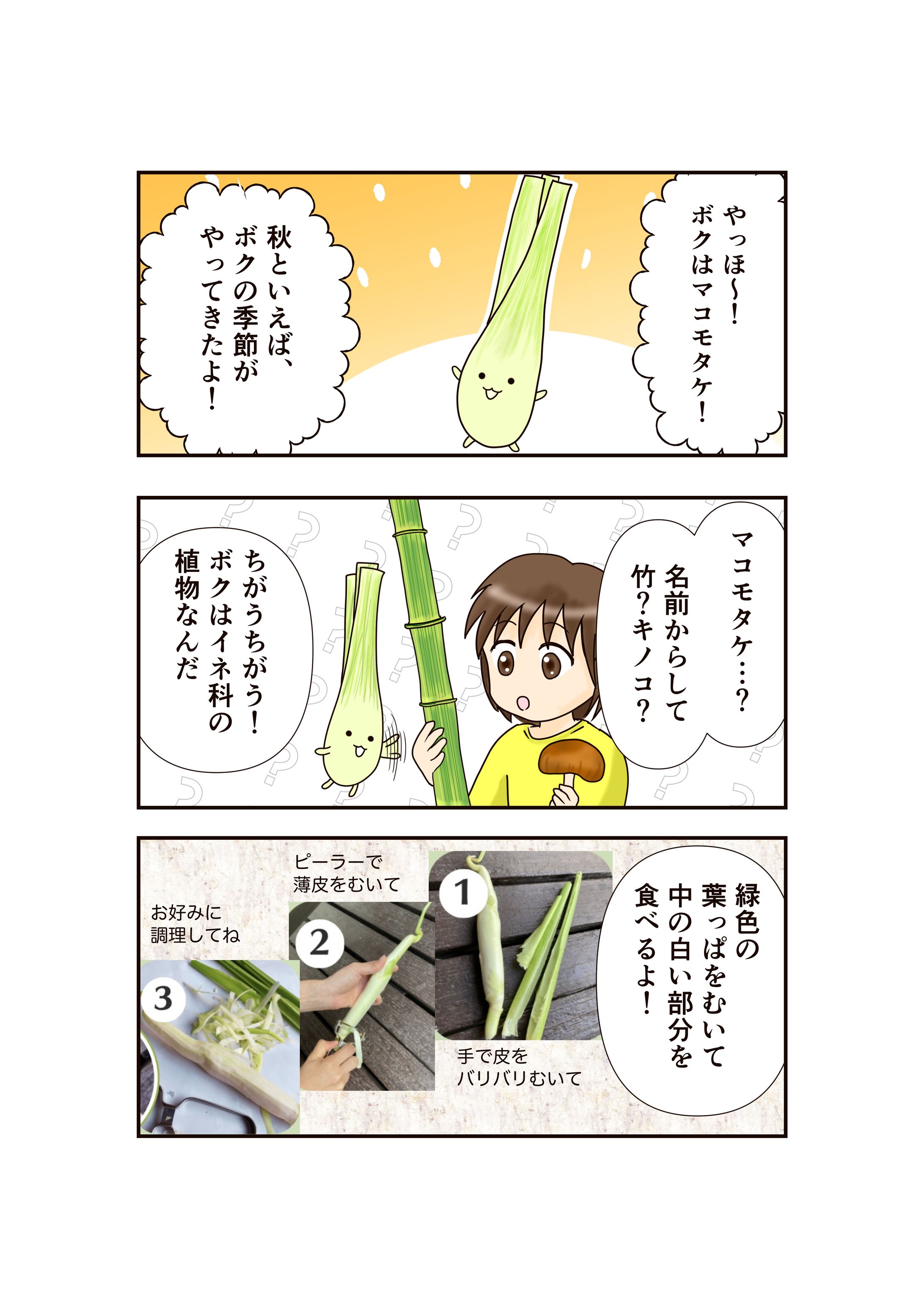 マコモタケ　にしかた農園様　広告マンガ-1