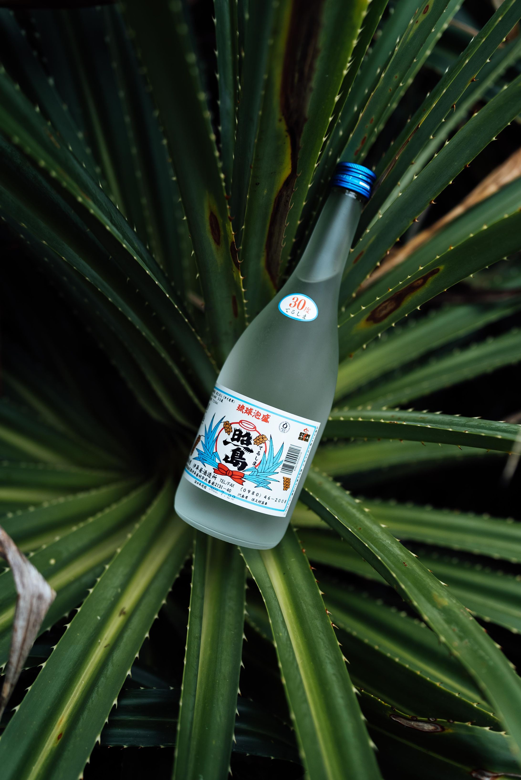 (Photo)　伊平屋酒造　泡盛撮影-1