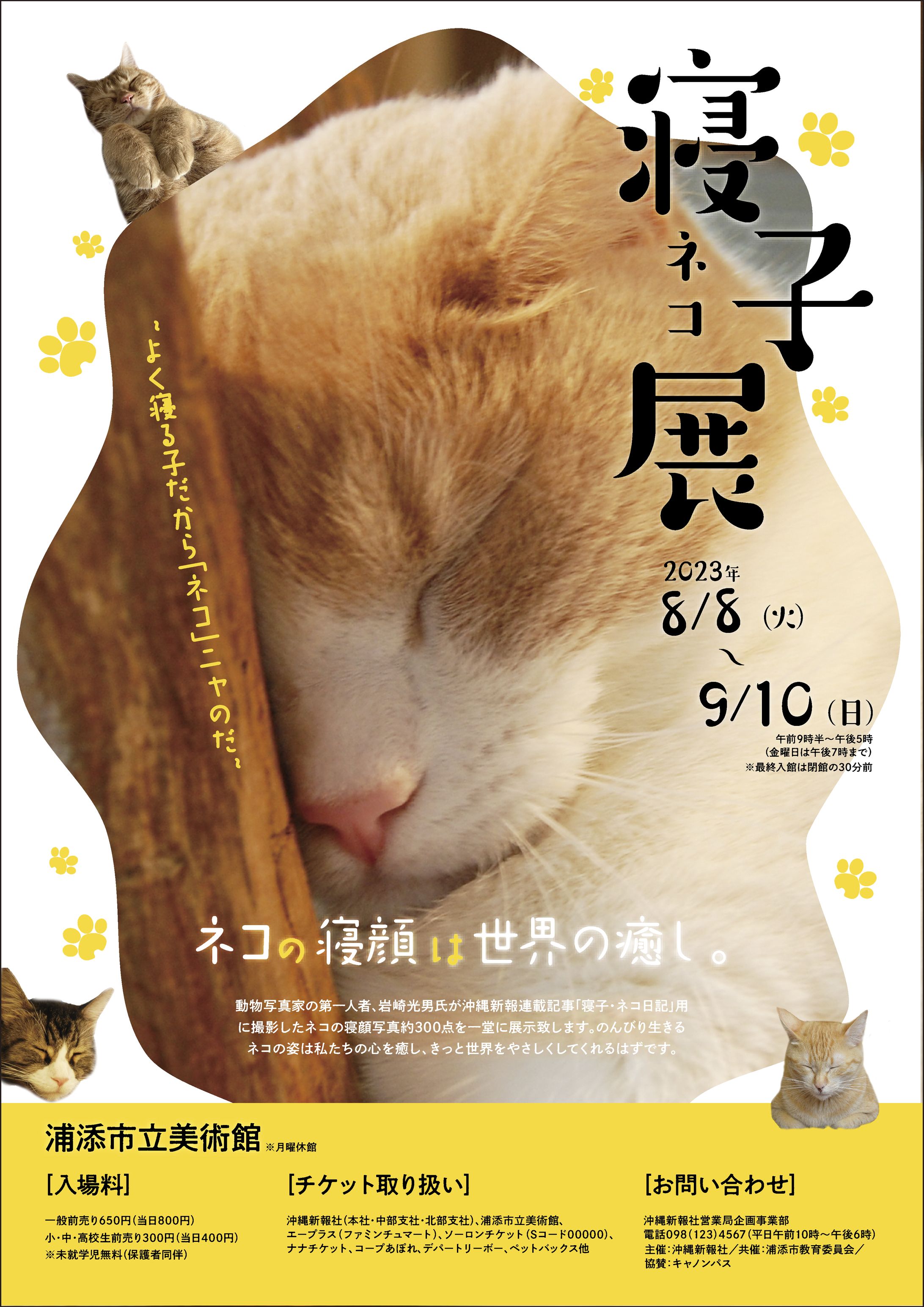 寝子展チラシ-1