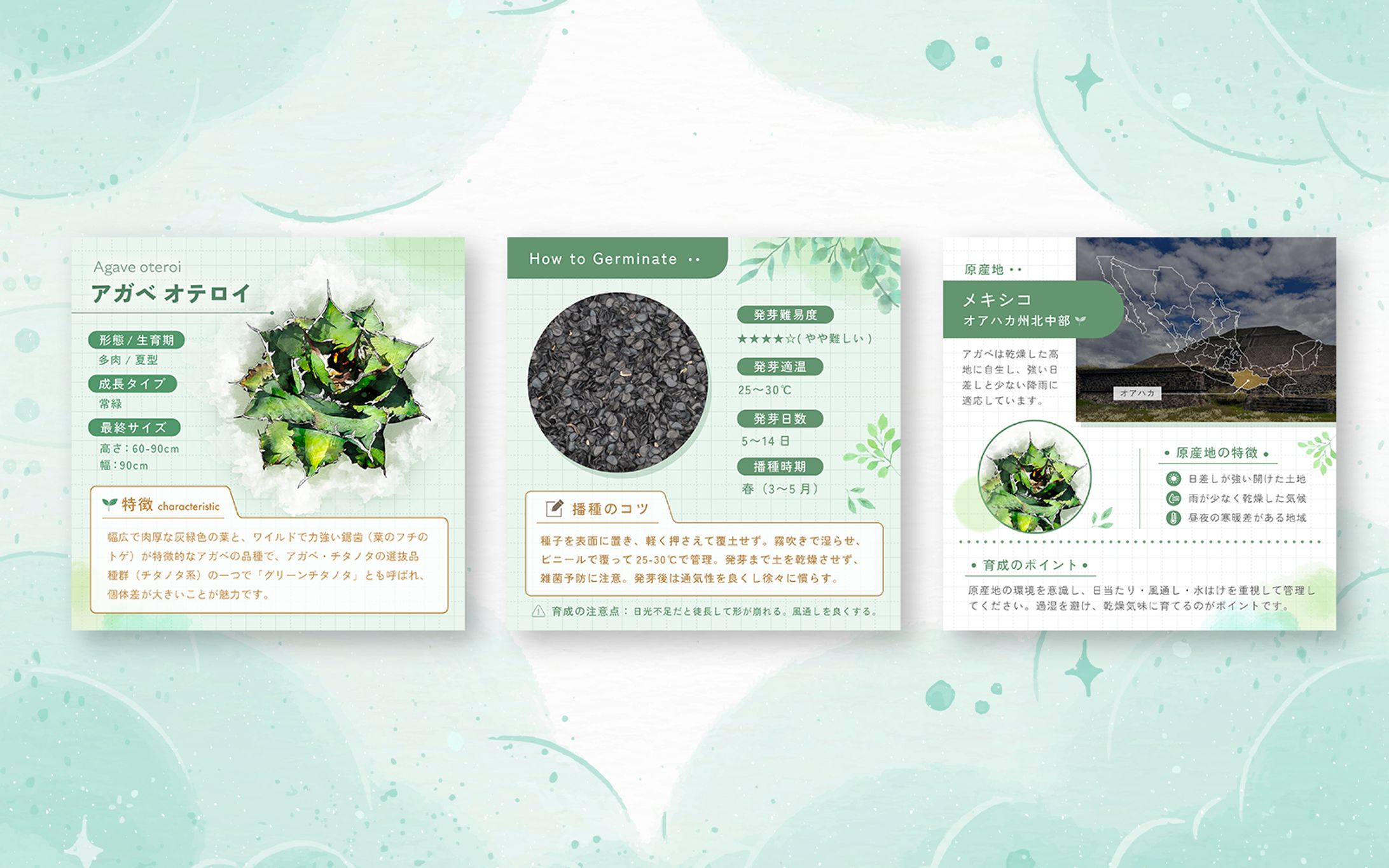 amazon用商品画像-1