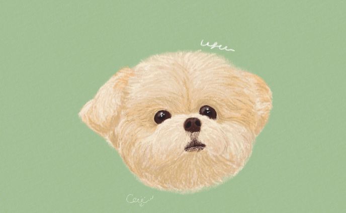 ペットの似顔絵イラスト作品集