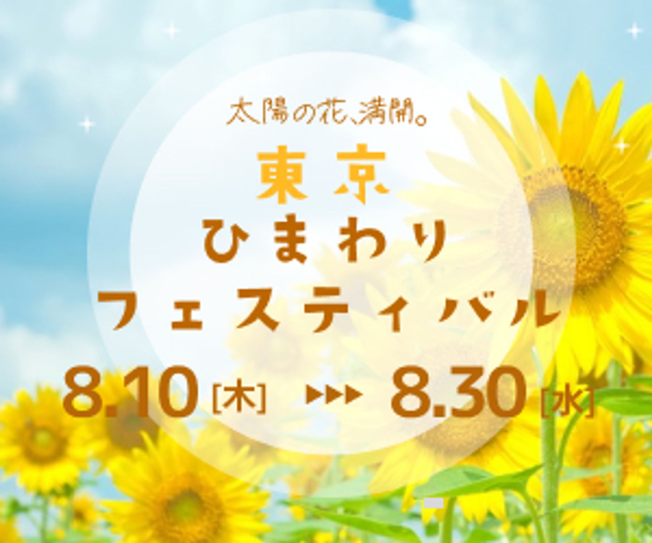 himawari fes　バナー-1