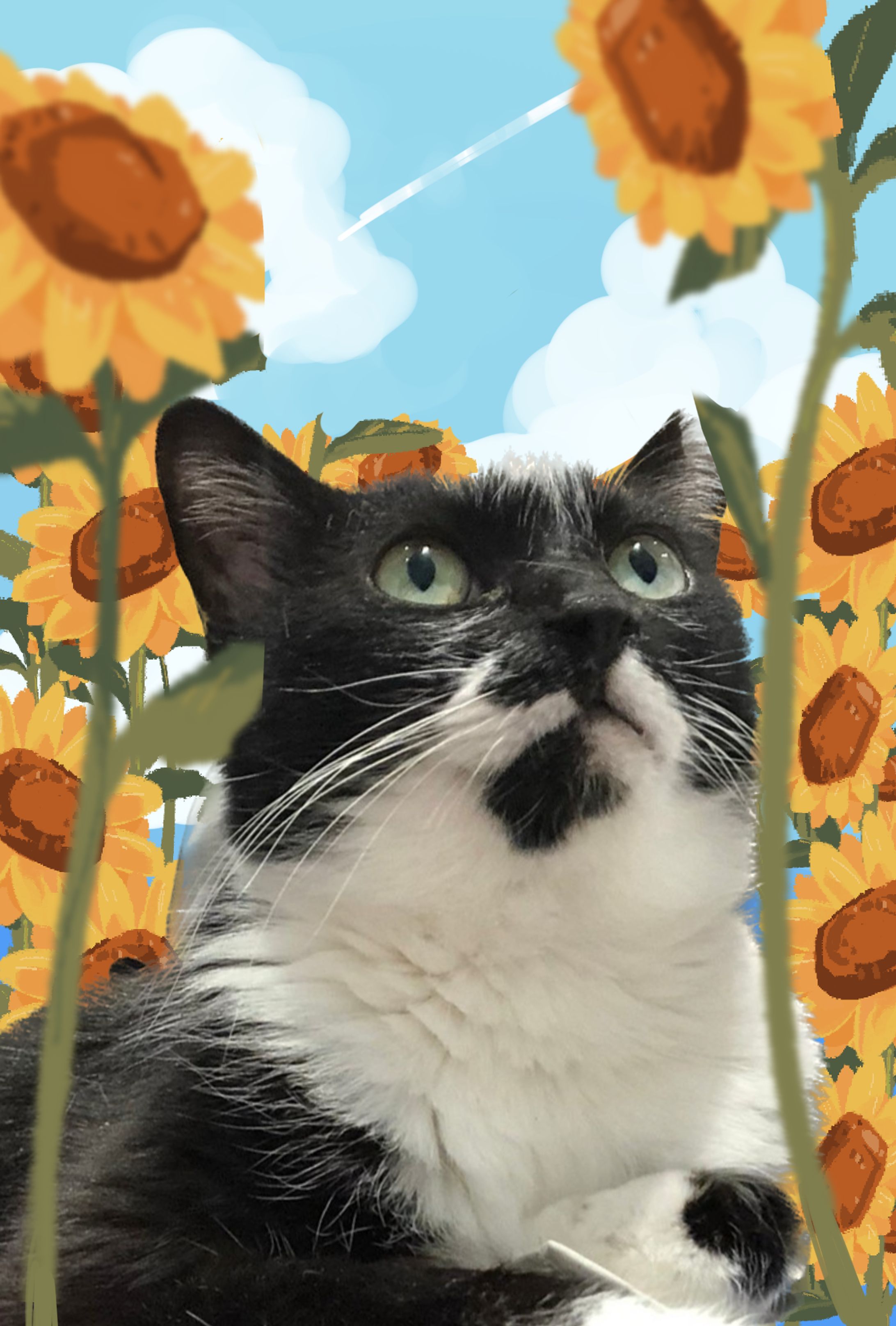 写真加工サンプル-1