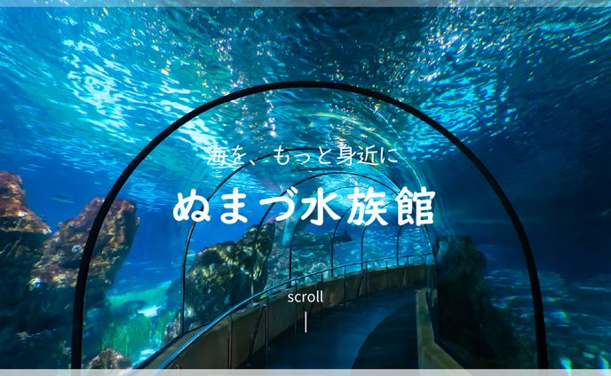 水族館　LP　FV