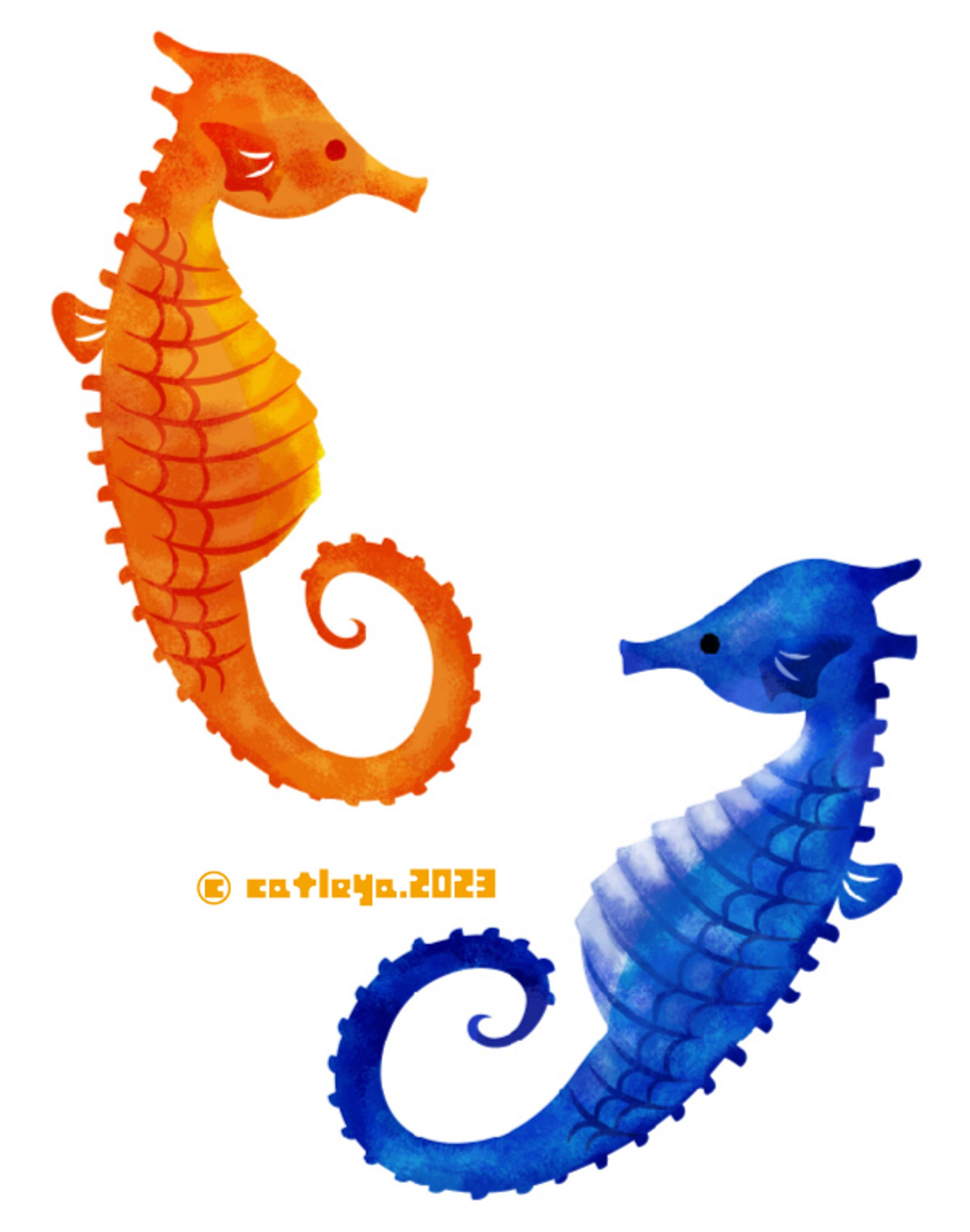 Sea horse illustration-1