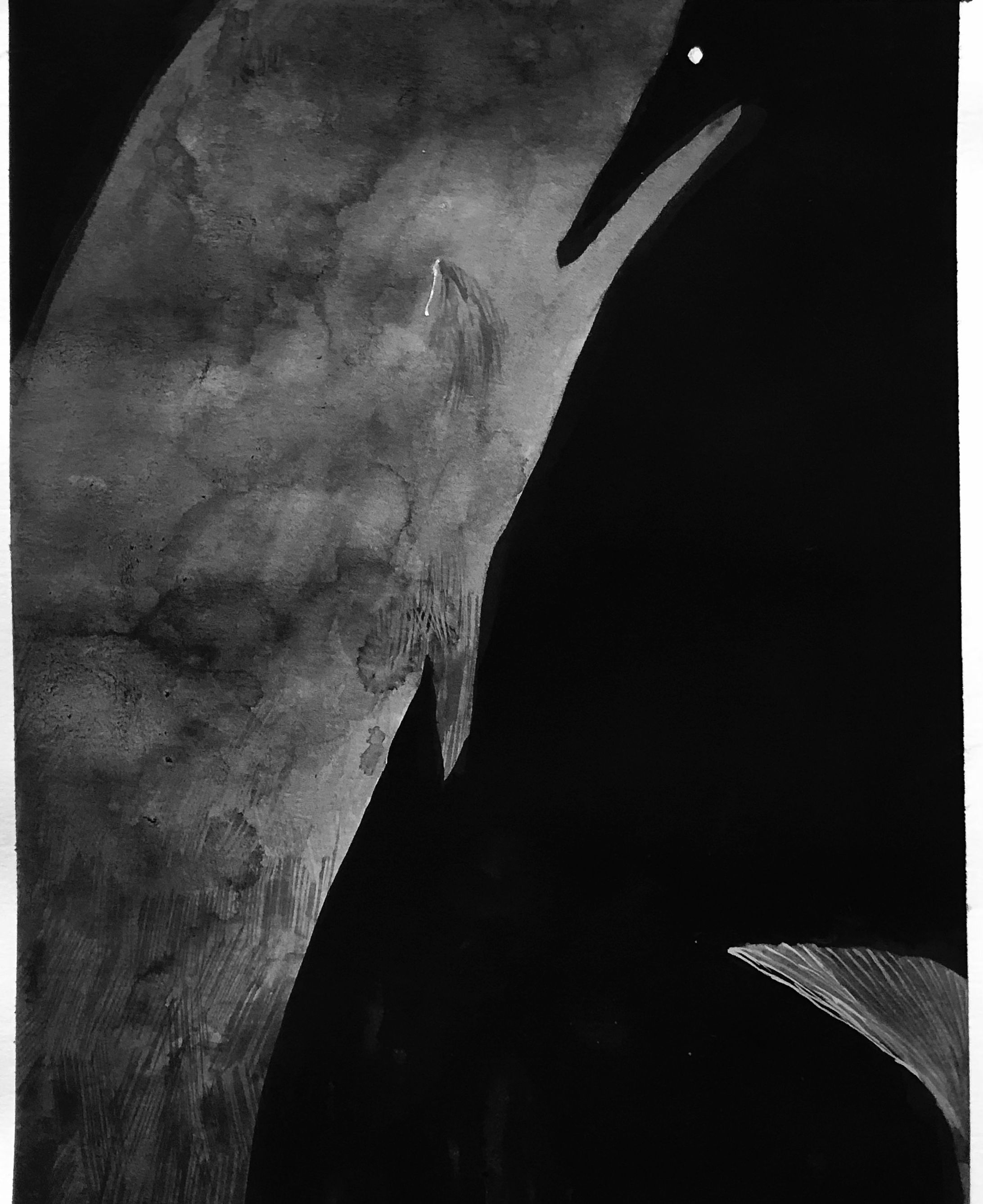 深海-1