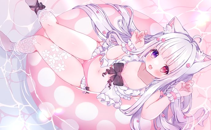 【 works 】白乃ねこり様 ┊ 1周年半記念イラスト